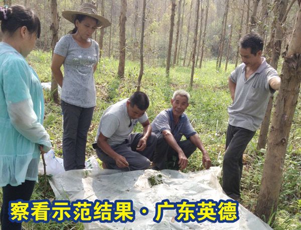 不朽情缘(中国)官方网站